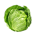 Fresh Vegetables